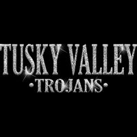 GLT21 SILVER GLITTER Thumbnail